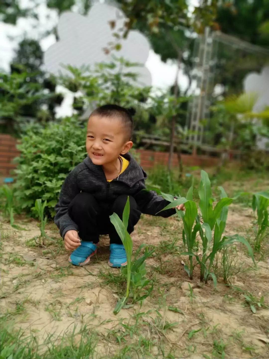 烈日炎炎，让我们一起在  '大树'  里消暑乘凉