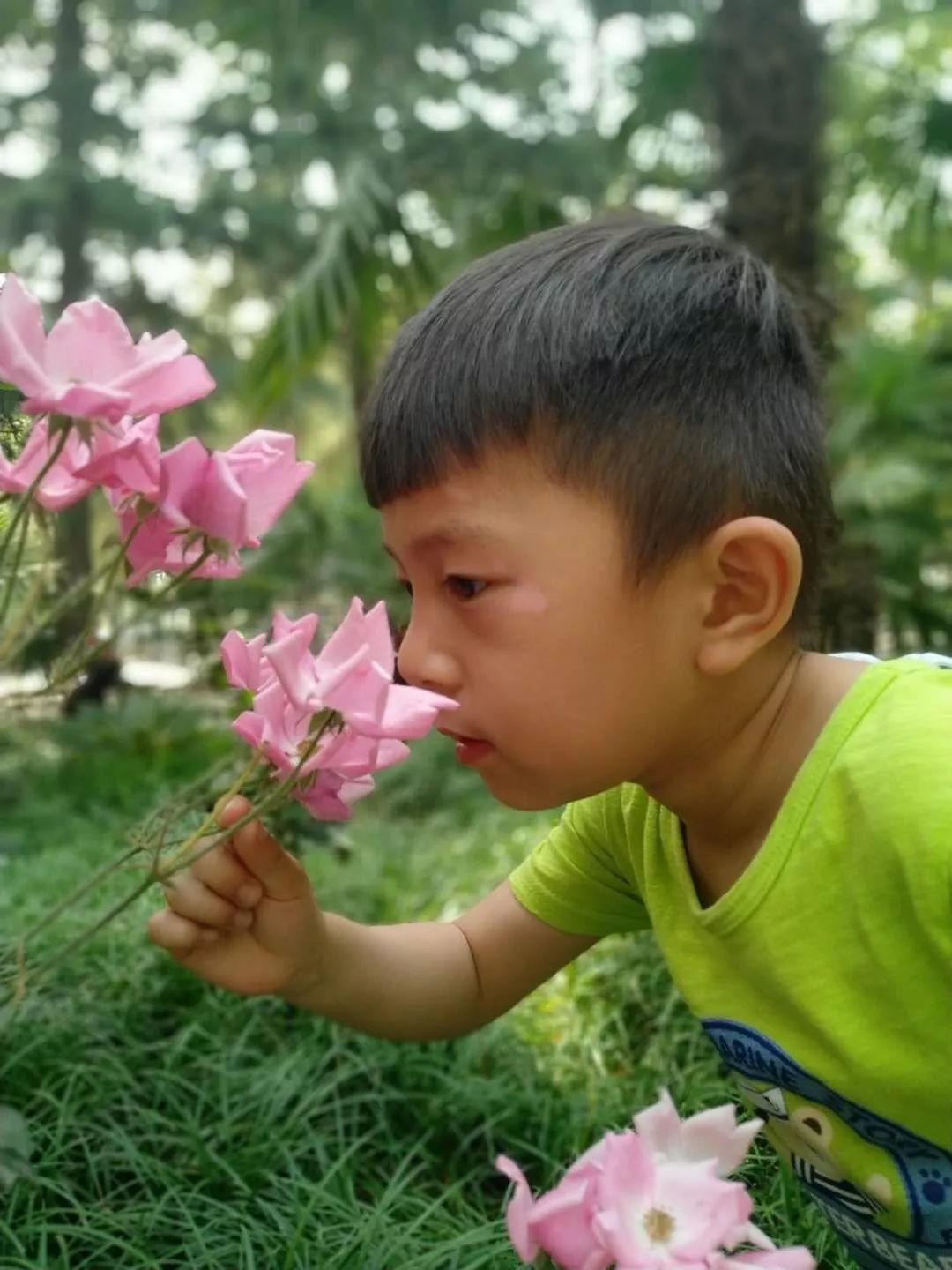 烈日炎炎，让我们一起在  '大树'  里消暑乘凉